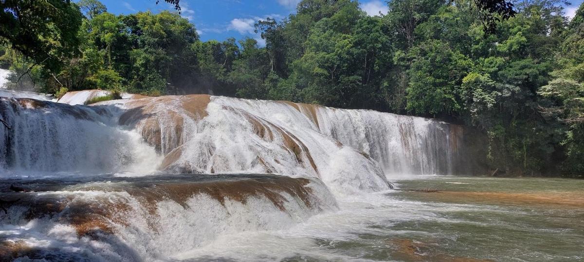 Posada Tzeltal Arroyo Agua Azul Exteriér fotografie